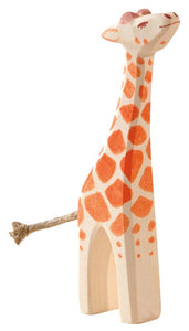 Giraffe small head high