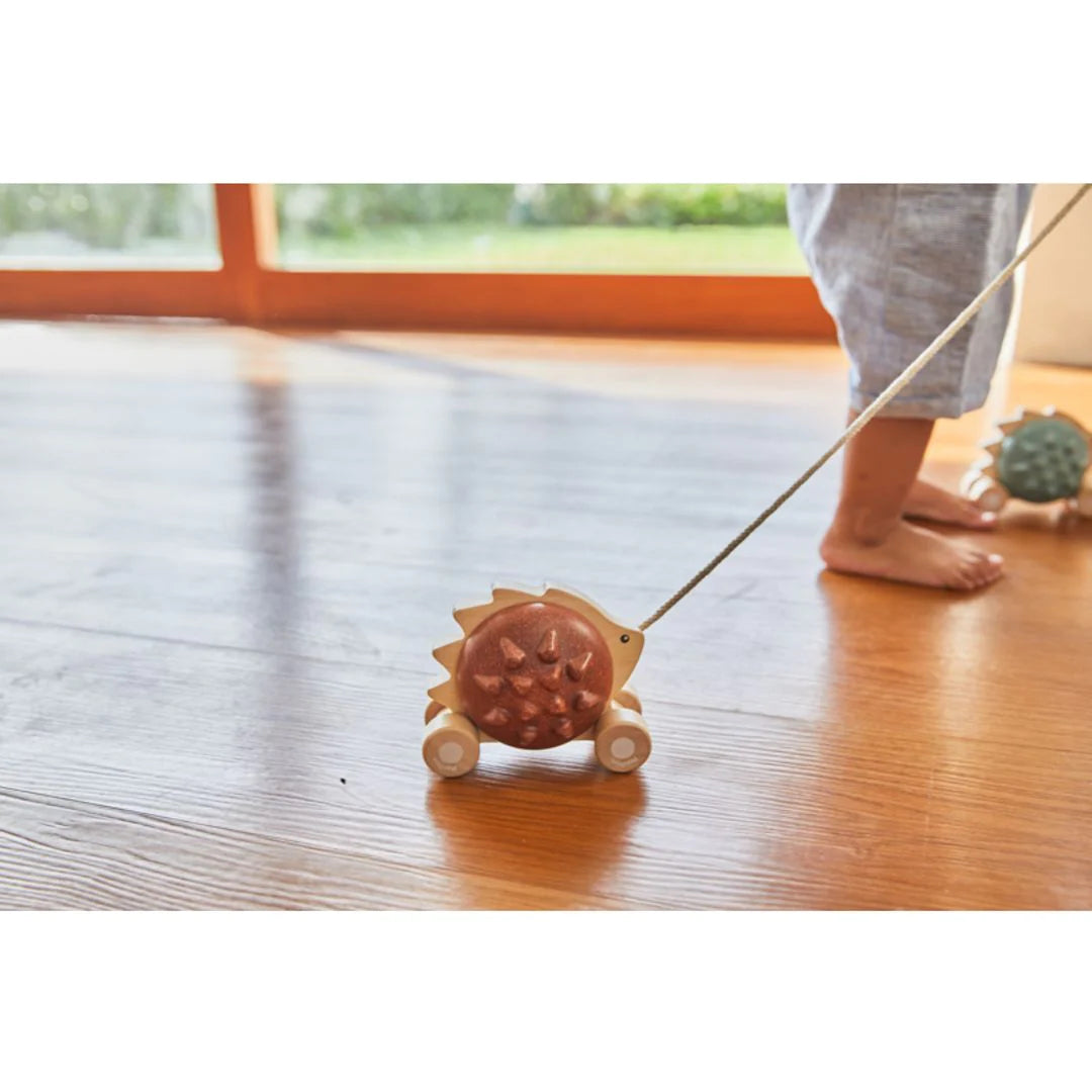 Child pulling brown pull-along hedgehog