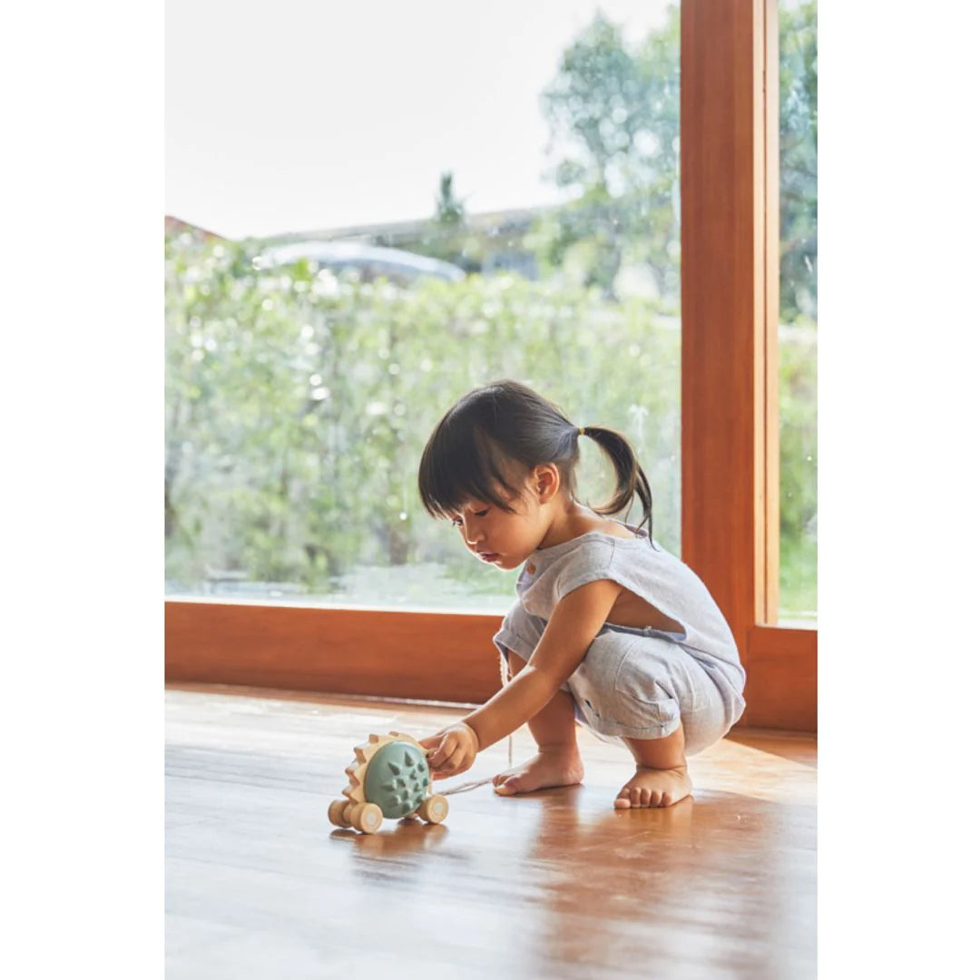 Child playing with a pull-along hedgehog in blue