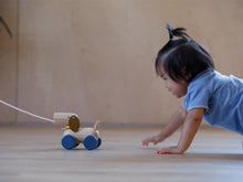 Load image into Gallery viewer, baby crawling on the floor chasing Push &amp; Pull Puppy
