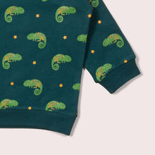 Load image into Gallery viewer, Little Lizard Raglan Sweatshirt cuff detail
