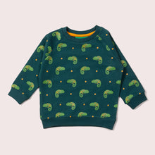 Load image into Gallery viewer, Little Lizard Raglan Sweatshirt
