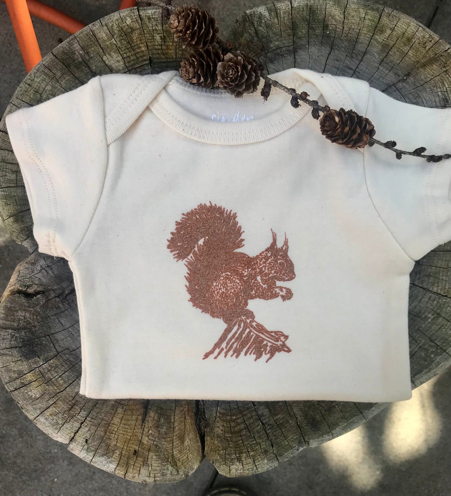 Squirrel Onesie on a tree log with pinecones