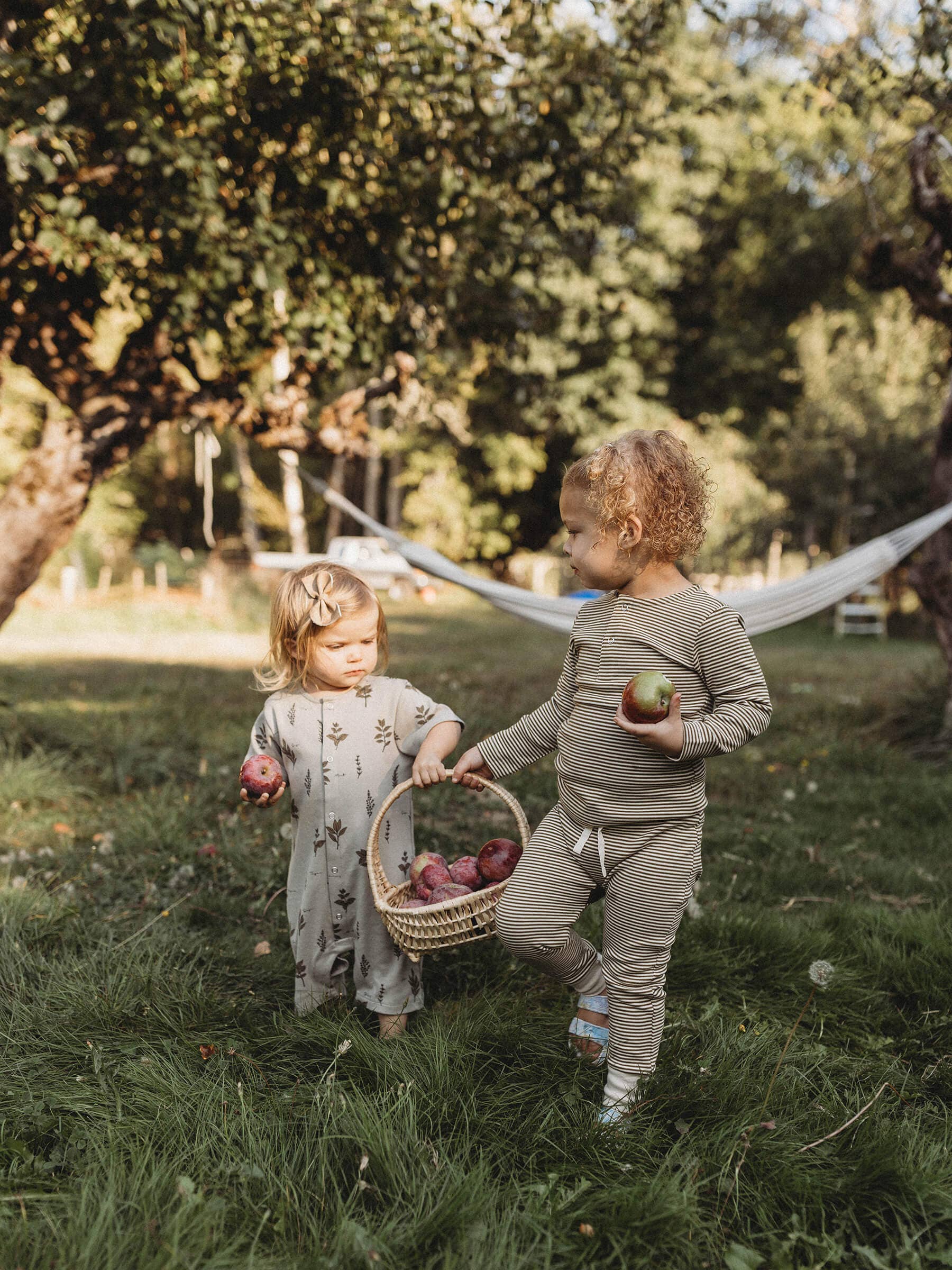 two children wearing Ziwi Baby outfits carrying a basket full of apples