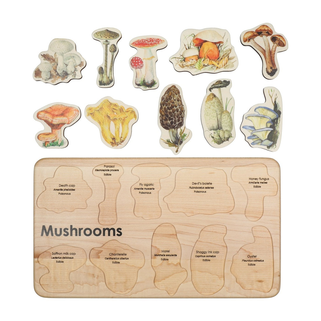 mushroom puzzle pieces