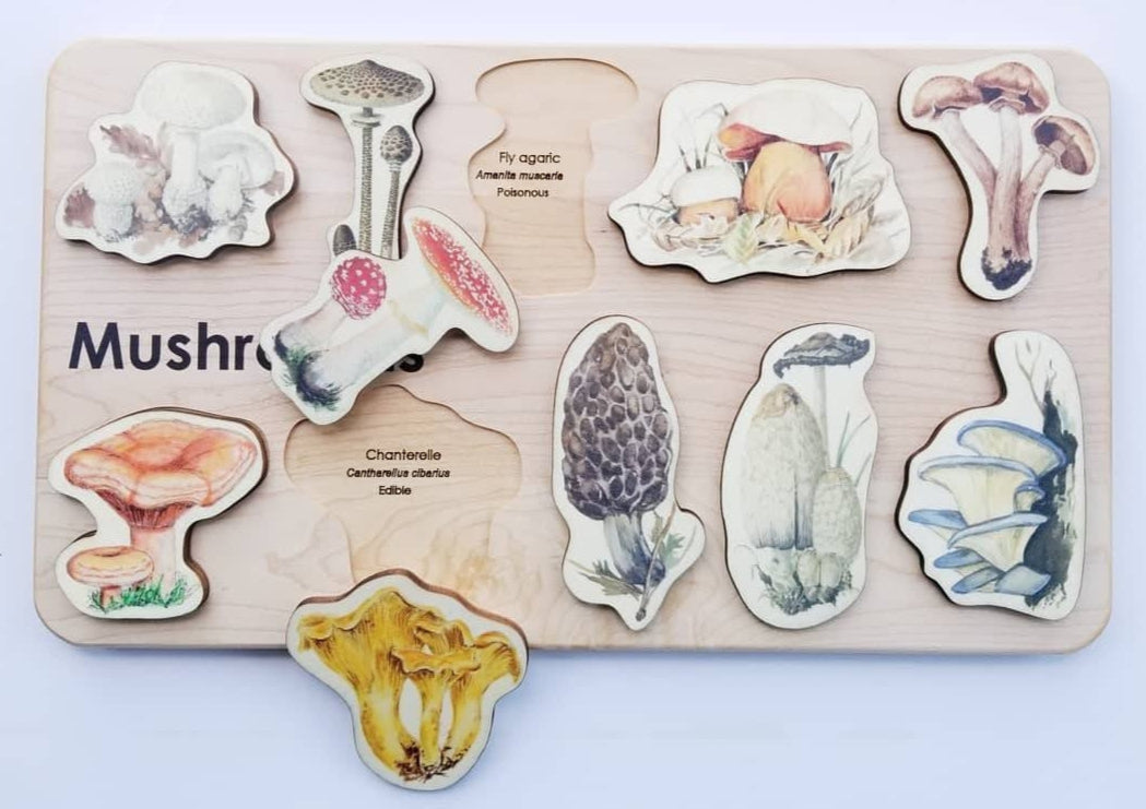 Wooden mushroom puzzle