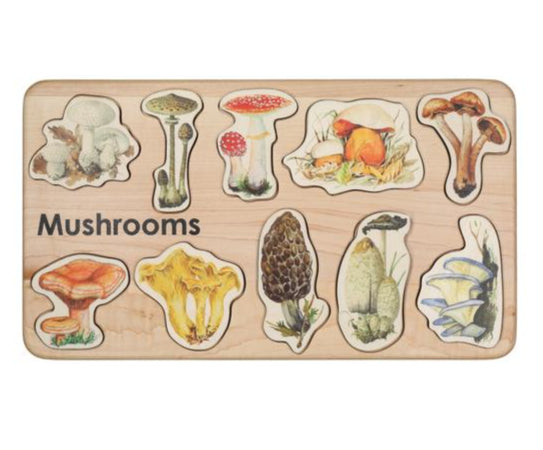 Wooden mushroom puzzle