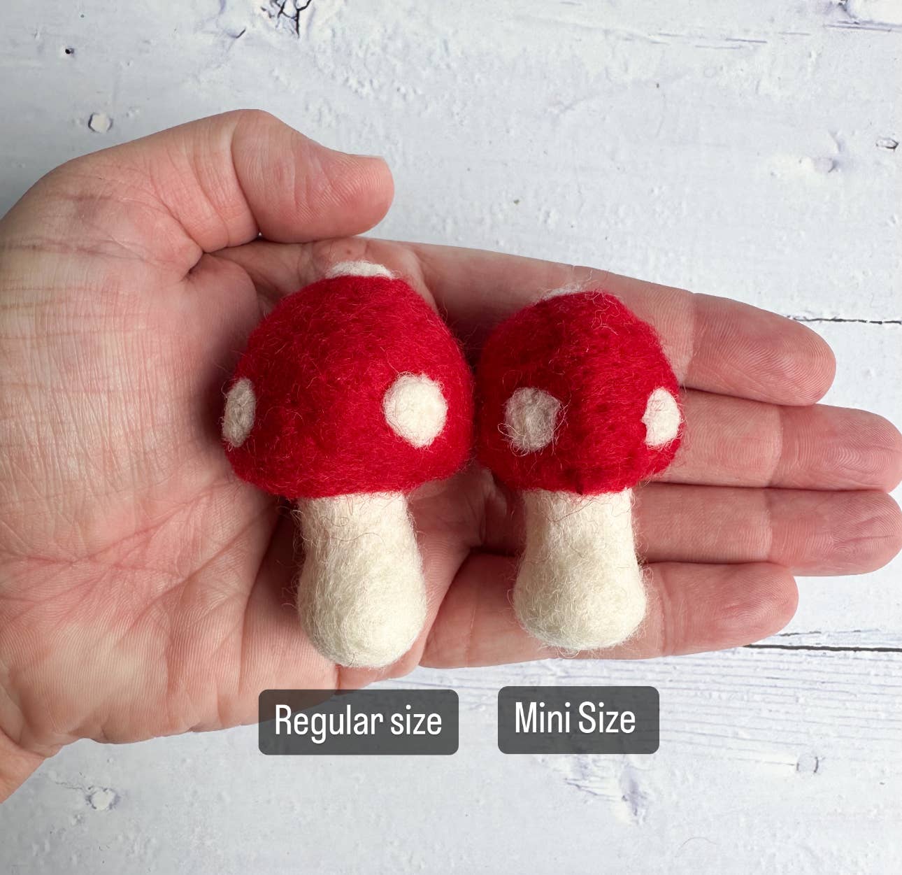 size comparison for felt mushrooms