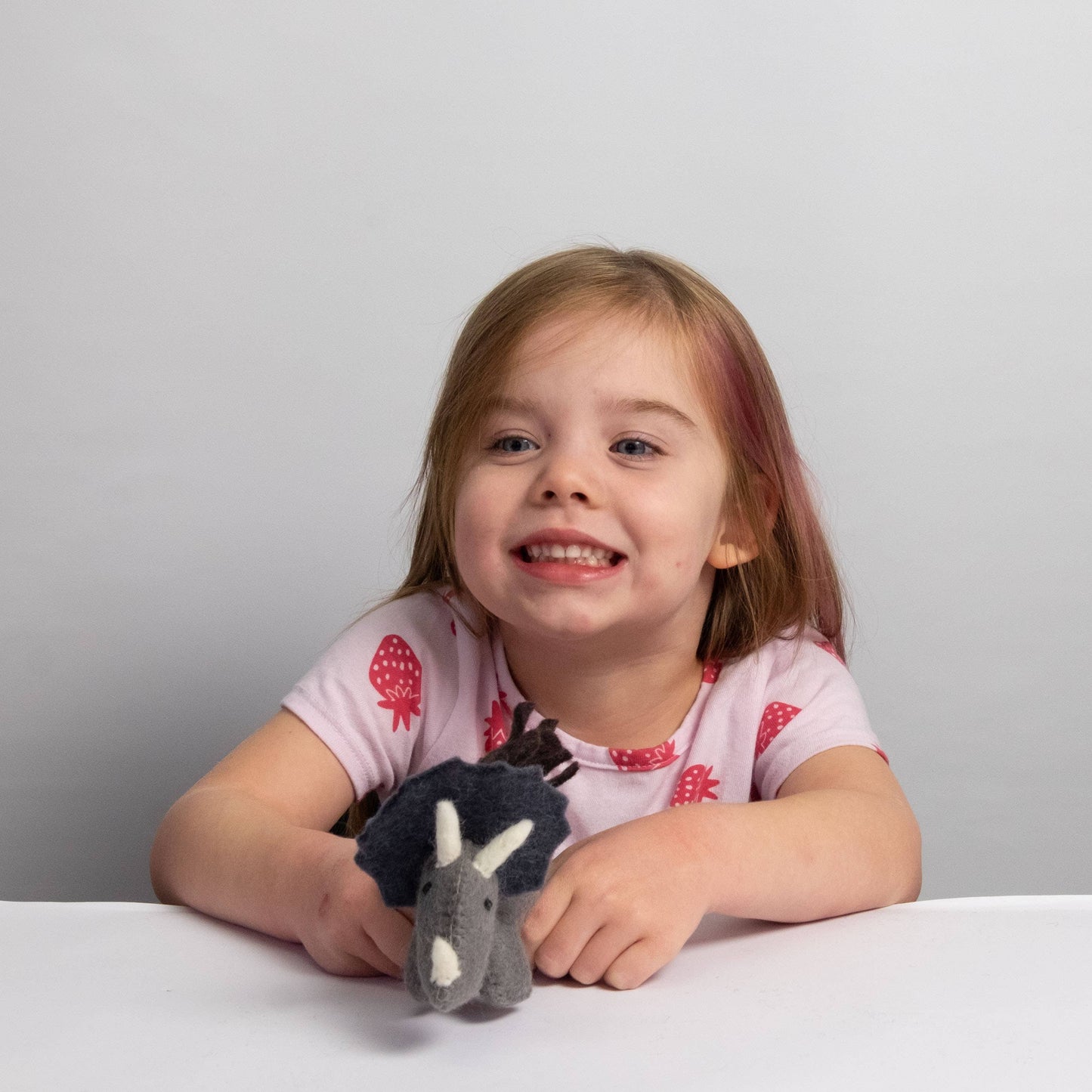 a child holding a felt triceratops